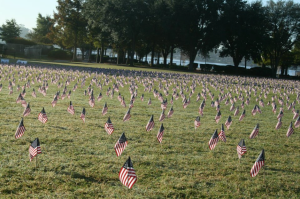 flags